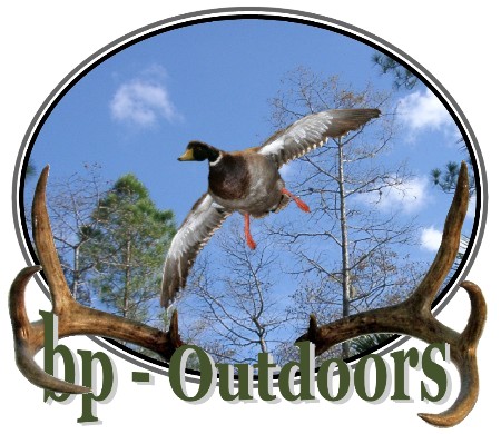 Green Head - Mallard Duck - Duck hunting adventures including decoys, calls and blinds, hunting guides and outfiitter listings for hunting wood duck, mallard, wigeon, pintail, teal, canvasback, redhead duck.
